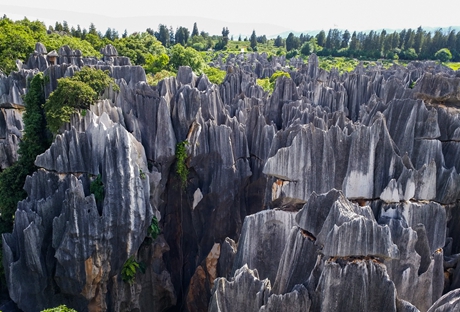 Yunnan Shilin (Yunnan Stone Forest)