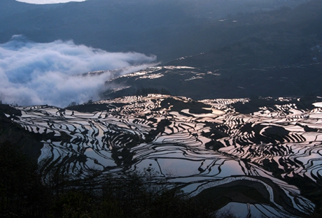 Yuanyang Rice Terraces