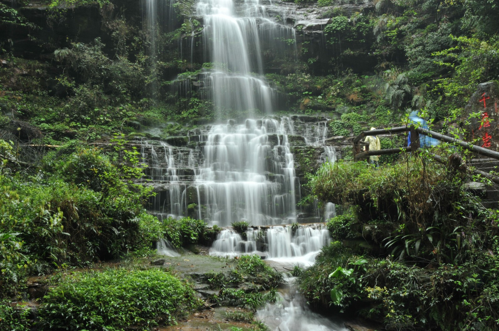 DSC_224513 Days Botanical Trip in Rainy Mountain Zone of West China.jpg